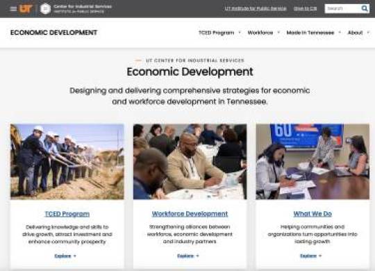 Screengrab of UT CIS website